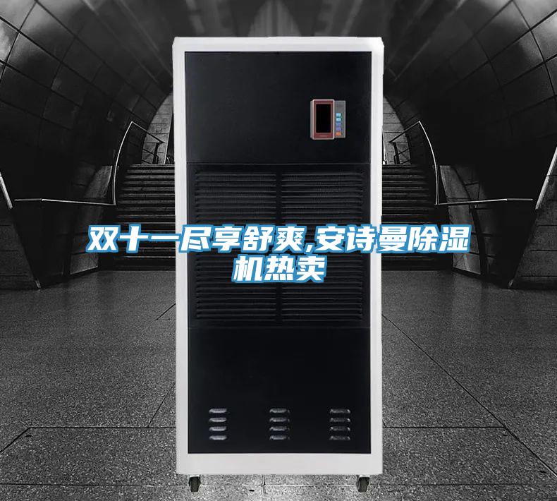 雙十一盡享舒爽,安詩(shī)曼除濕機熱賣(mài)