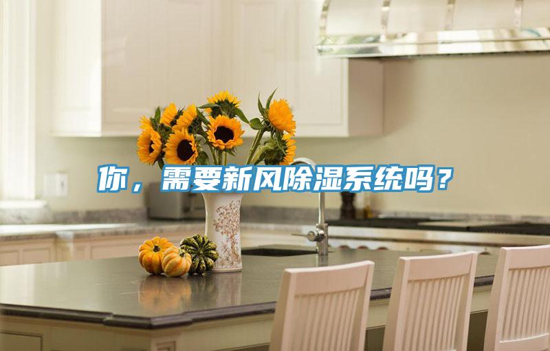 你，需要新風(fēng)除濕系統嗎？