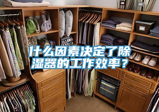 什么因素決定了除濕器的工作效率？