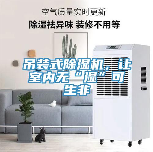 吊裝式除濕機，讓室內無(wú)“濕”可生非