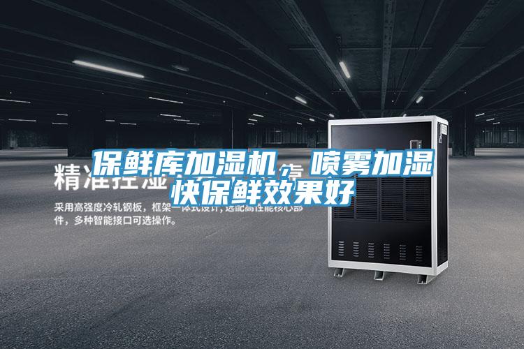 保鮮庫加濕機，噴霧加濕快保鮮效果好