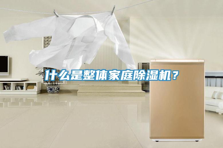 什么是整體家庭除濕機？