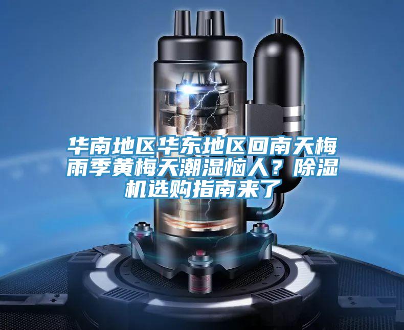 華南地區華東地區回南天梅雨季黃梅天潮濕惱人？除濕機選購指南來(lái)了