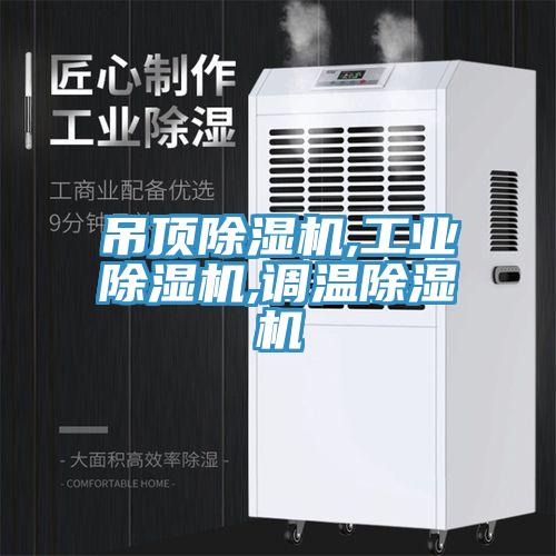 吊頂除濕機,工業(yè)除濕機,調溫除濕機