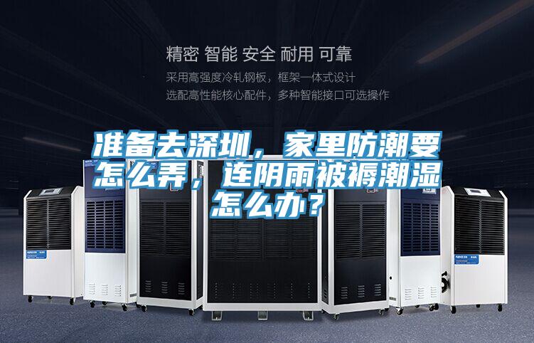 準備去深圳，家里防潮要怎么弄，連陰雨被褥潮濕怎么辦？