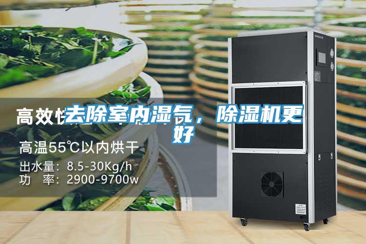 去除室內濕氣，除濕機更好