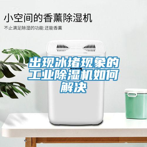 出現冰堵現象的工業(yè)除濕機如何解決