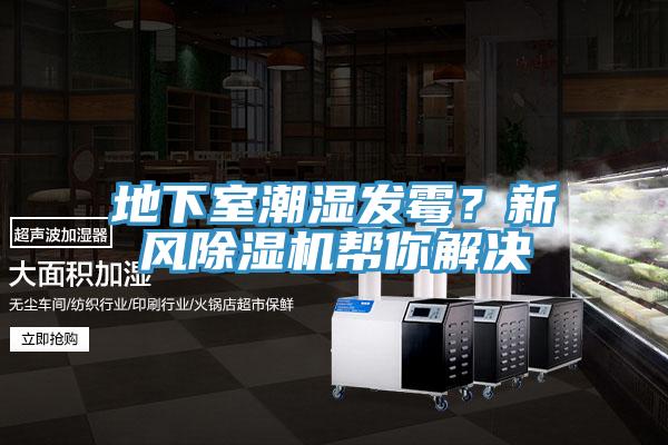 地下室潮濕發(fā)霉？新風(fēng)除濕機幫你解決