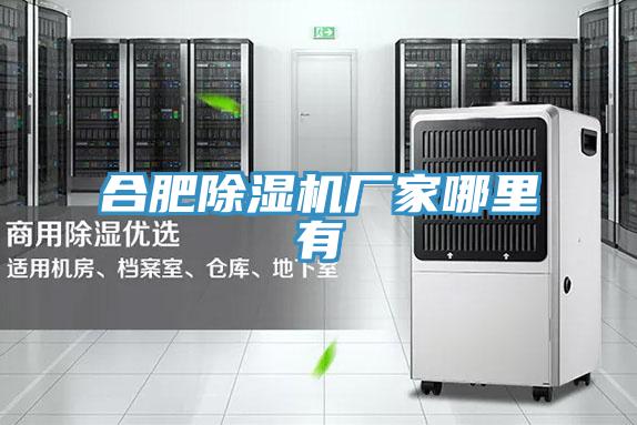 合肥除濕機廠(chǎng)家哪里有