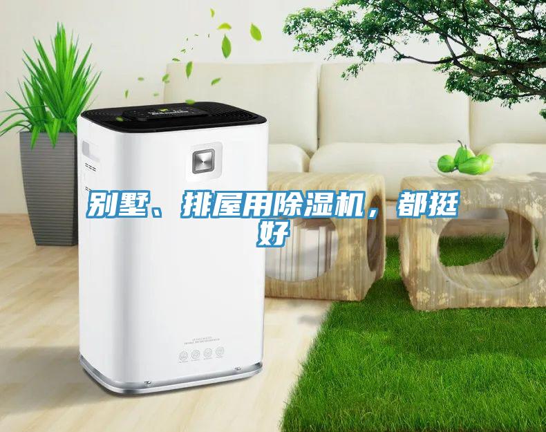 別墅、排屋用除濕機，都挺好
