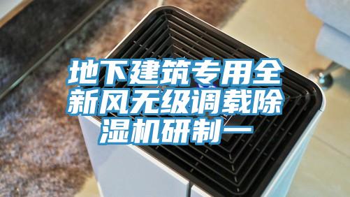 地下建筑專(zhuān)用全新風(fēng)無(wú)級調載除濕機研制一