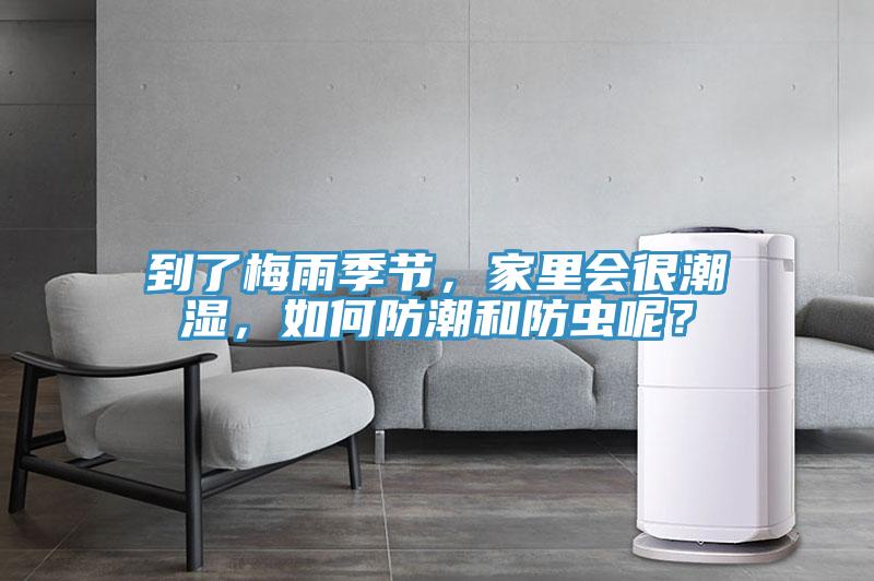 到了梅雨季節，家里會(huì )很潮濕，如何防潮和防蟲(chóng)呢？