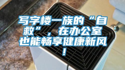 寫(xiě)字樓一族的“自救”，在辦公室也能暢享健康新風(fēng)！