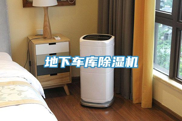 地下車(chē)庫除濕機