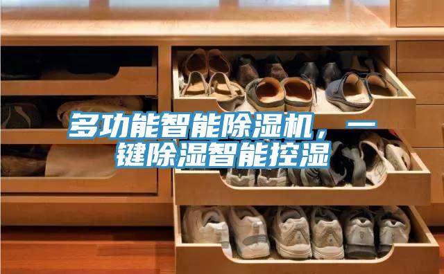 多功能智能除濕機，一鍵除濕智能控濕
