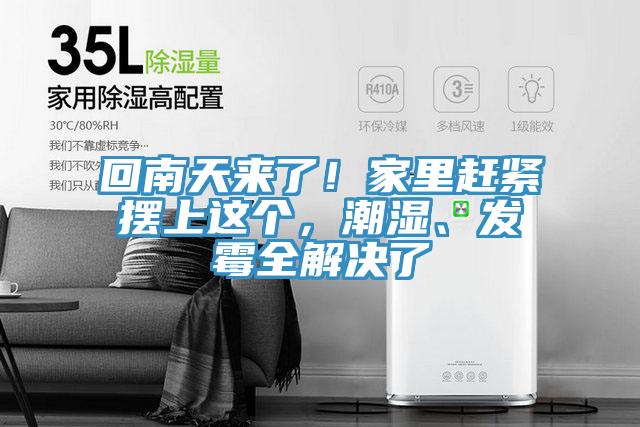 回南天來(lái)了！家里趕緊擺上這個(gè)，潮濕、發(fā)霉全解決了