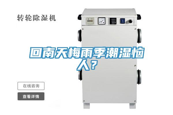 回南天梅雨季潮濕惱人？