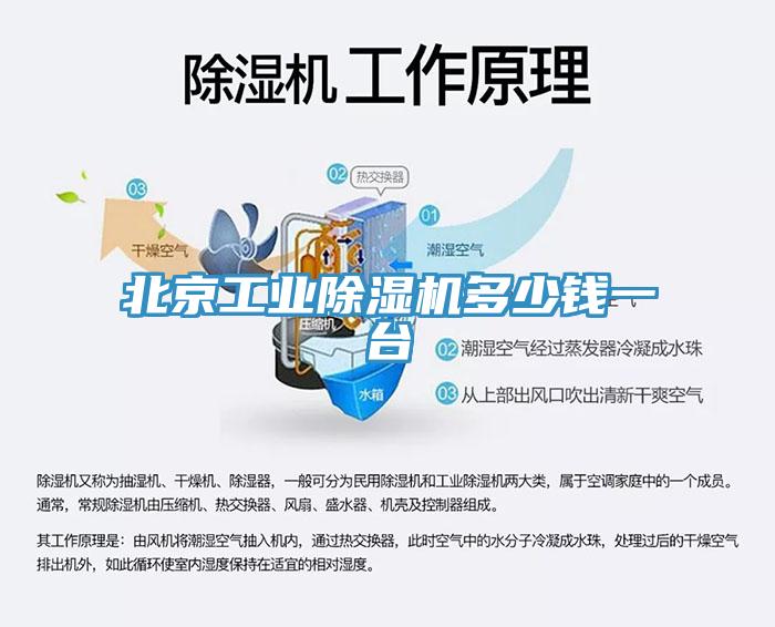 北京工業(yè)除濕機多少錢(qián)一臺