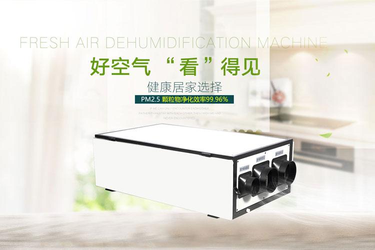 千元內除濕機就可以解決家庭車(chē)庫潮濕問(wèn)題